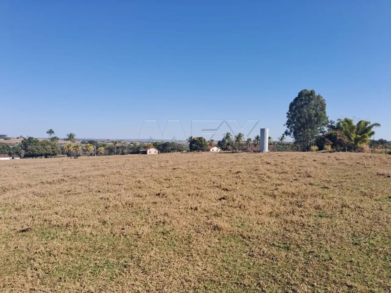 Sitio Guimbe SP - 11 Alqueires - Foto 5