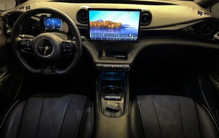 BYD Dolphin Plus (Elétrico) 2024 - Foto 4