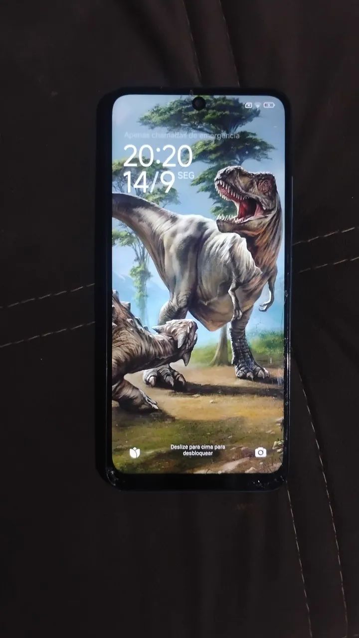 Celular 