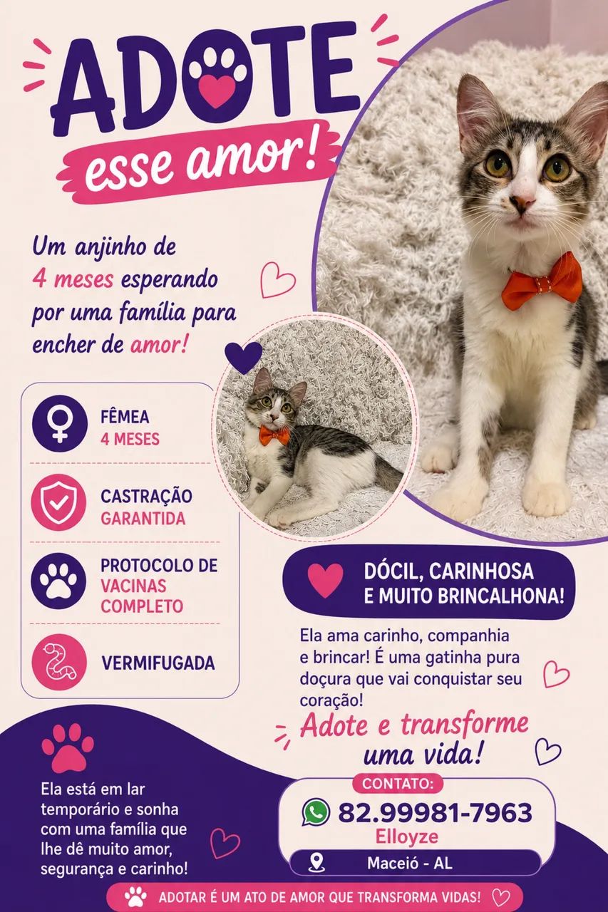 Adoção Responsável  - Foto 4
