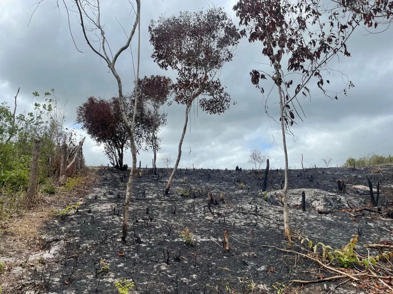 Terreno em MORROS- MA  - Foto 2