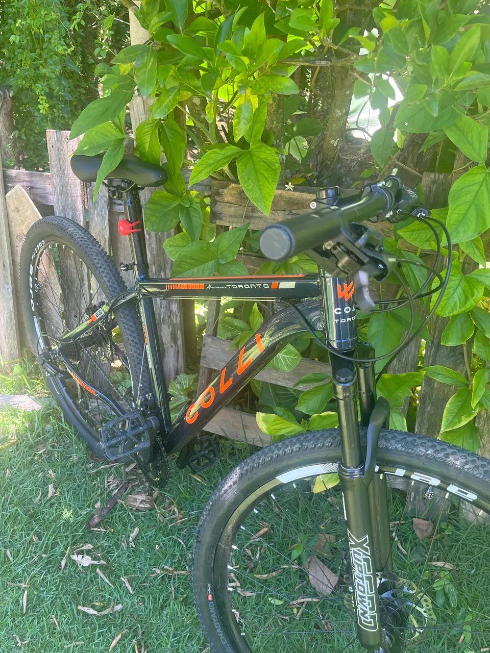 Bicicleta Colli aro 29