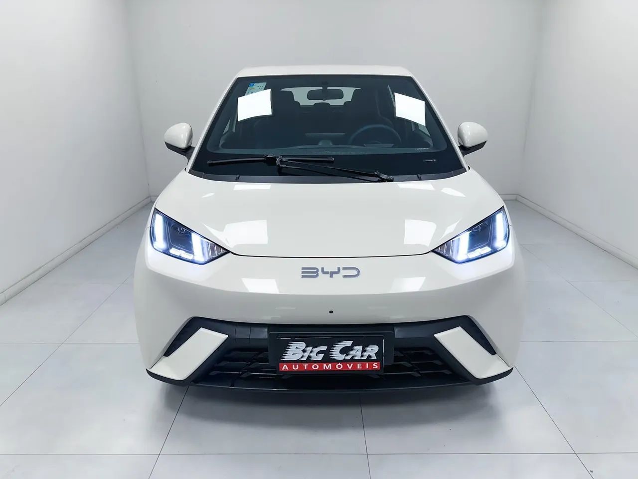 BYD Dolphin GS (Elétrico) 2027 - Foto 4