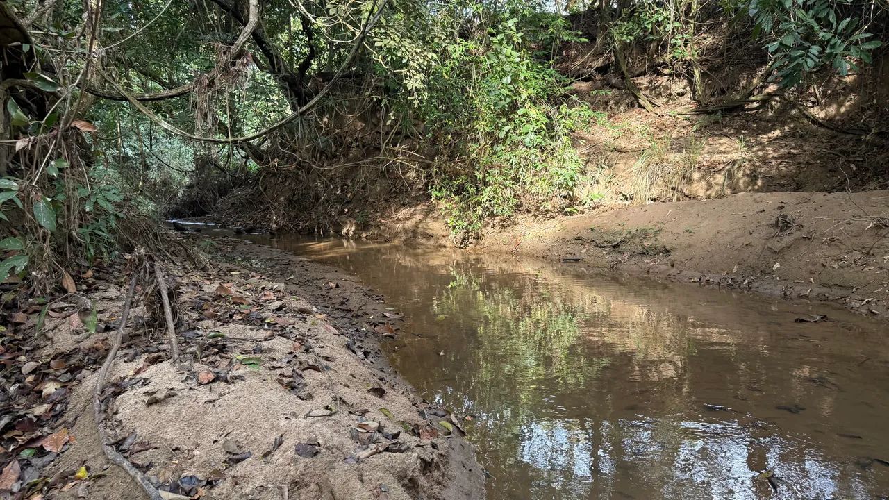 Chacara de 1.800mt em professor Jamil com córrego! - Foto 2