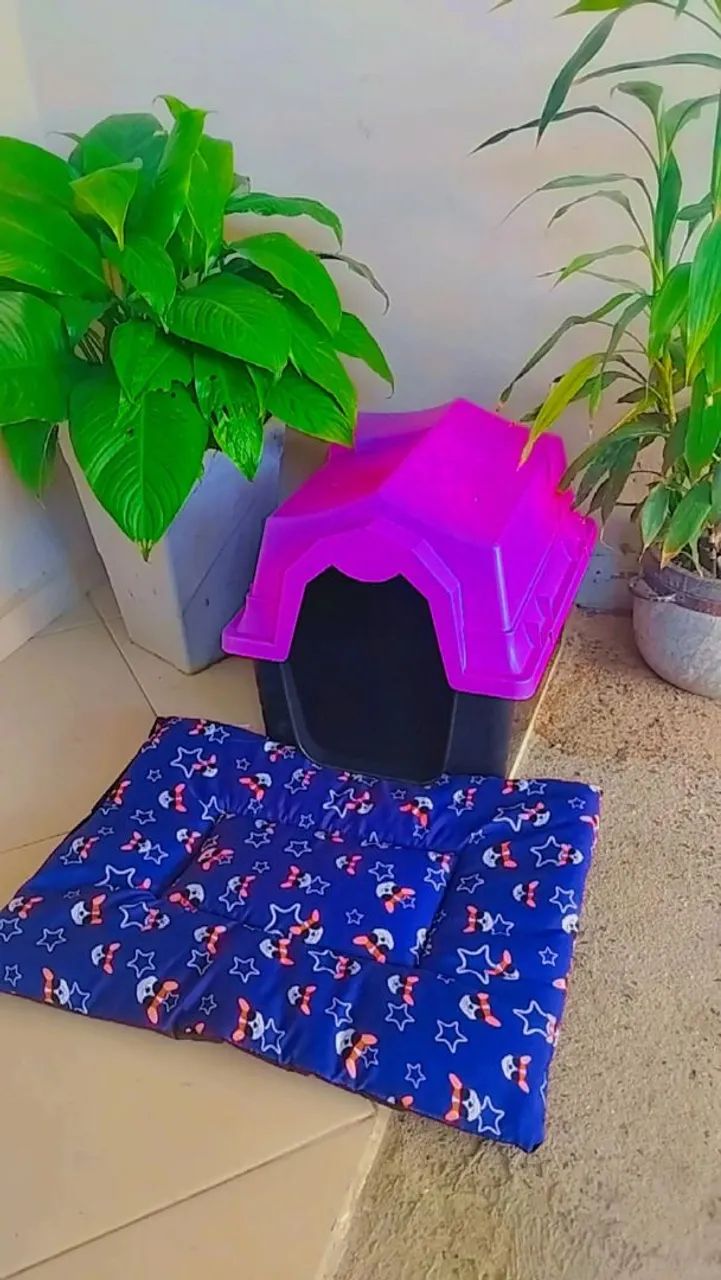 Casinha pet com caminha  - Foto 2