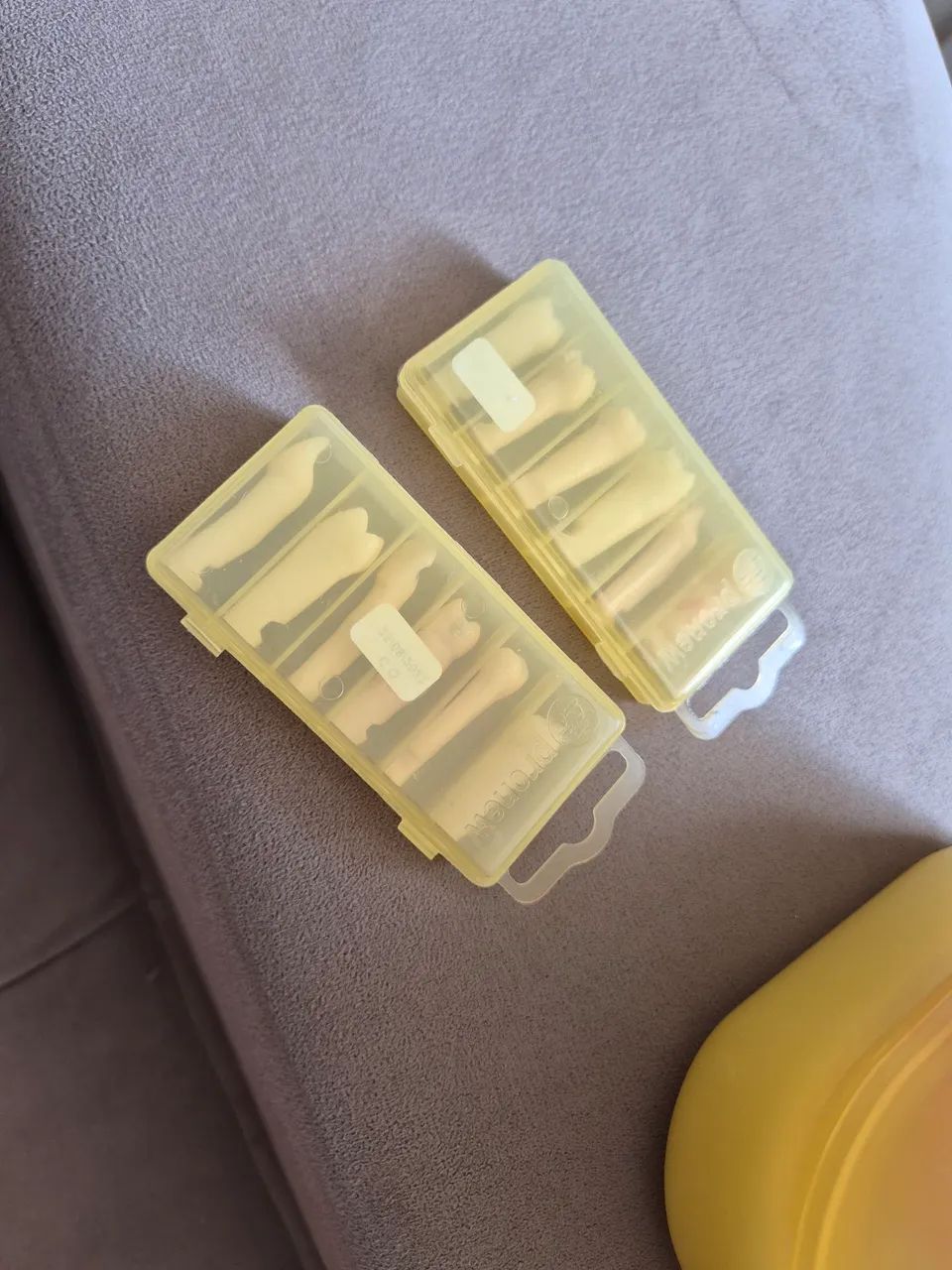 manequim dentística pronew - Foto 5