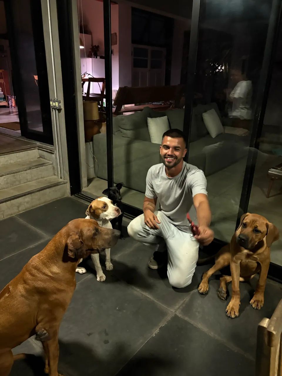 Adestramento de cães  - Foto 5