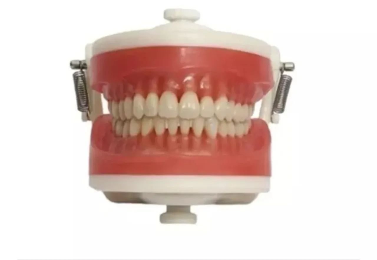 Vendo manequim dentário 
