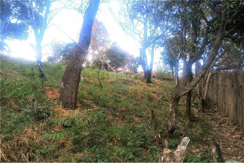 ÓTIMO TERRENO COM 5600m² NO BAIRRO BURITIS - BELO HORIZONTE - Foto 4