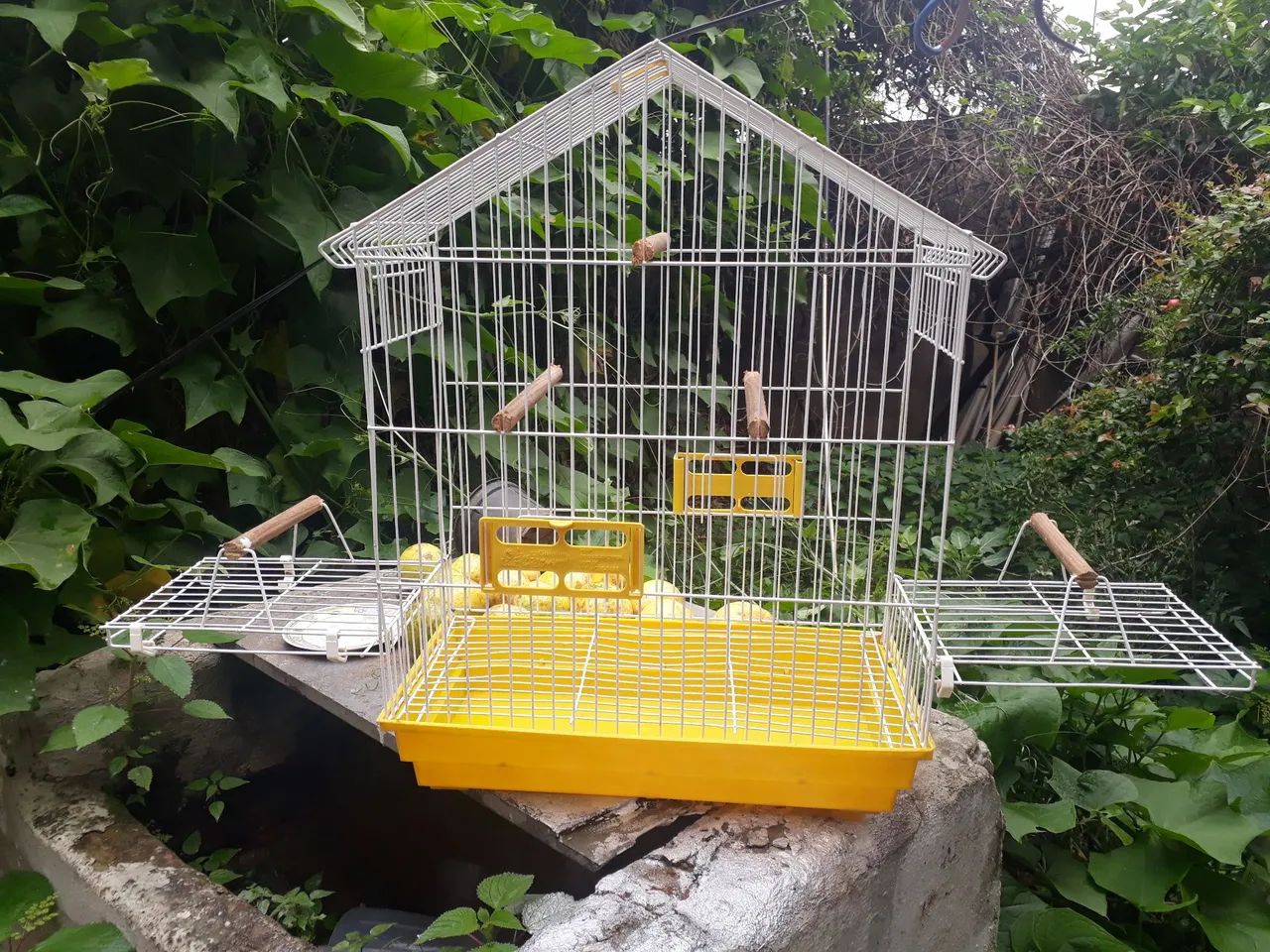 Vendo excelente gaiola de calopsita mansa. Marca Bragança.  Barata - Foto 3