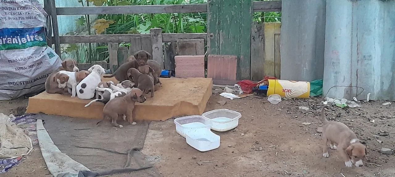 Estou doado  - Foto 2