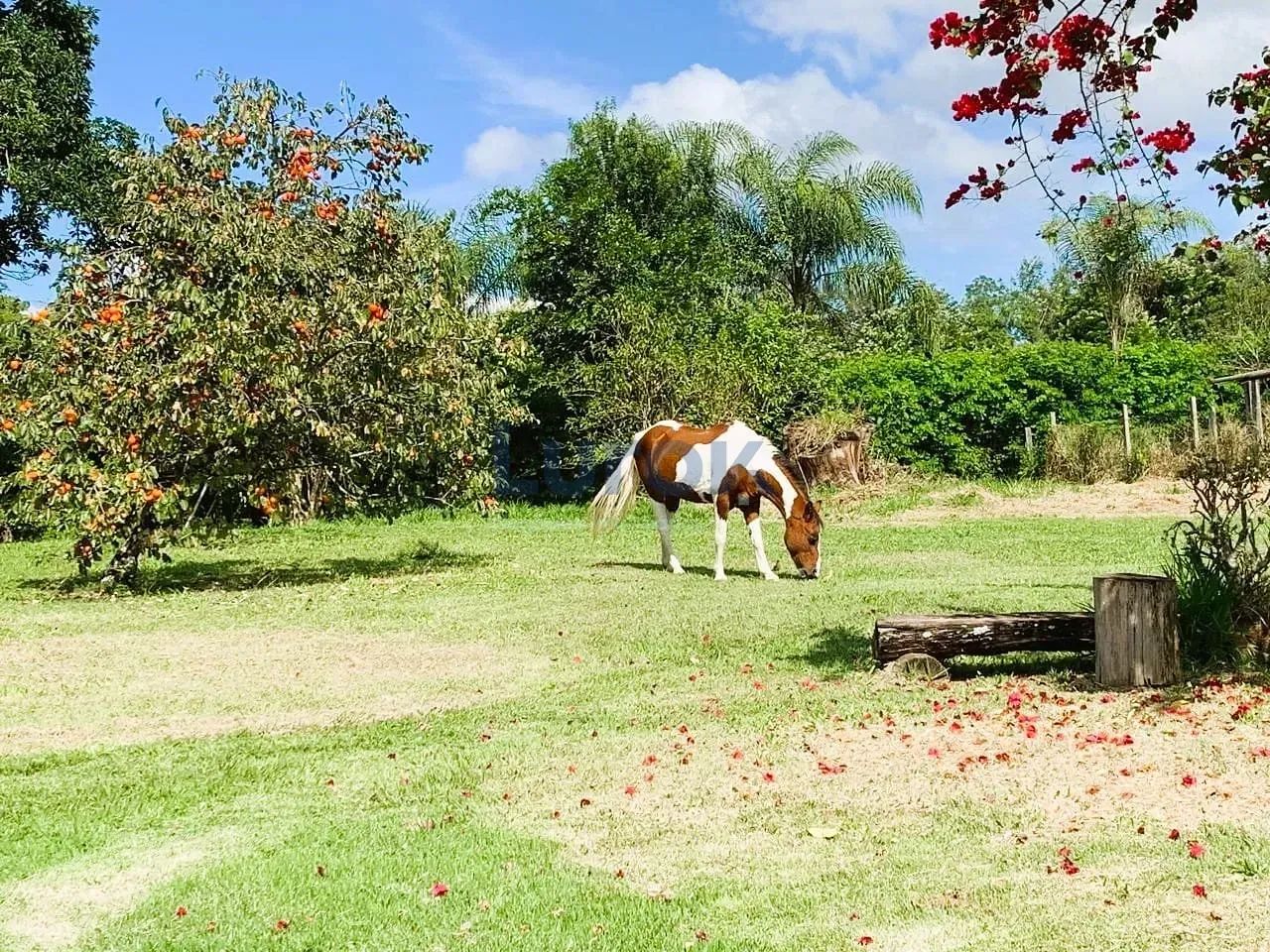 Sítio à venda, Passa Três, Tuiuti, SP - Foto 5
