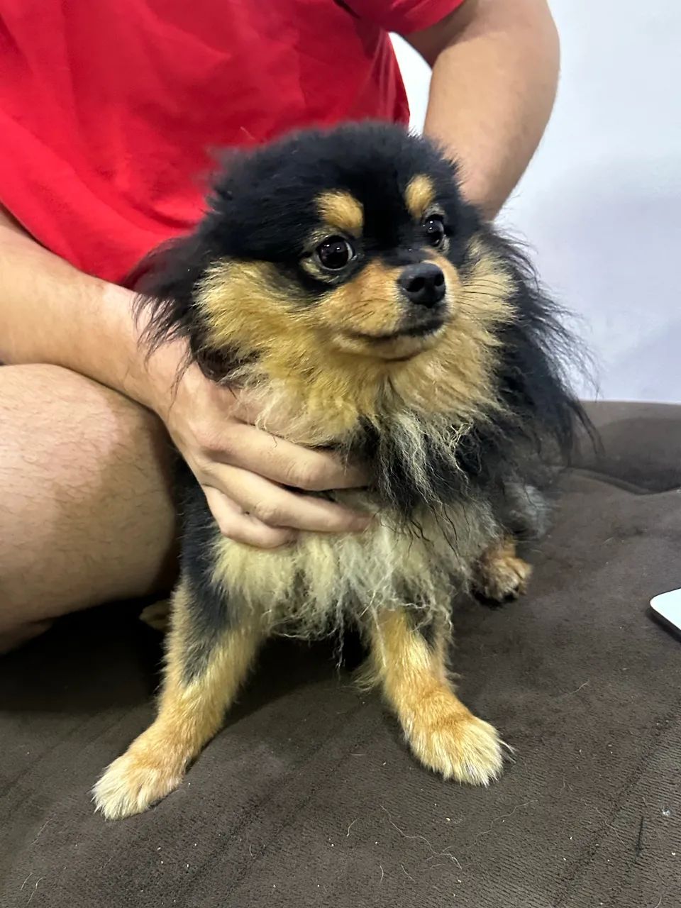 Doação Lulu 