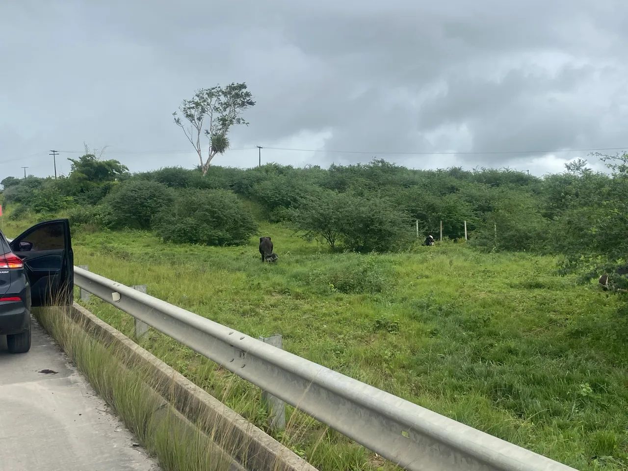 Terreno em Conceição Jacuipe  - Foto 3