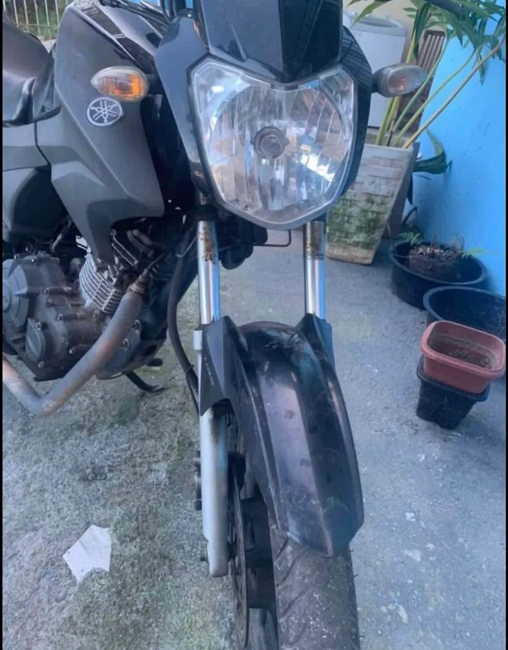 Yamaha Factor 150 - 2022