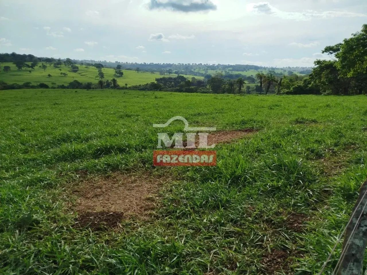 Chacara 3,5 alqueires (16,96 HAC) Araçu - GO - Foto 3