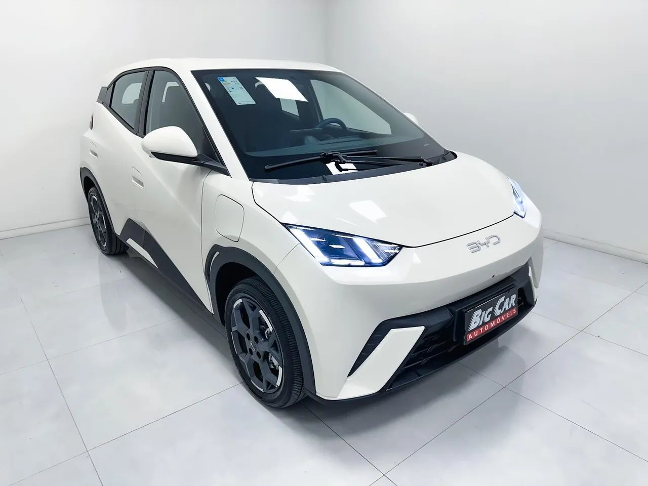 BYD Dolphin GS (Elétrico) 2027 - Foto 2