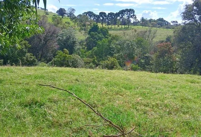 PECUÁRIA - Área Rural 14 Alqueires - Foto 5