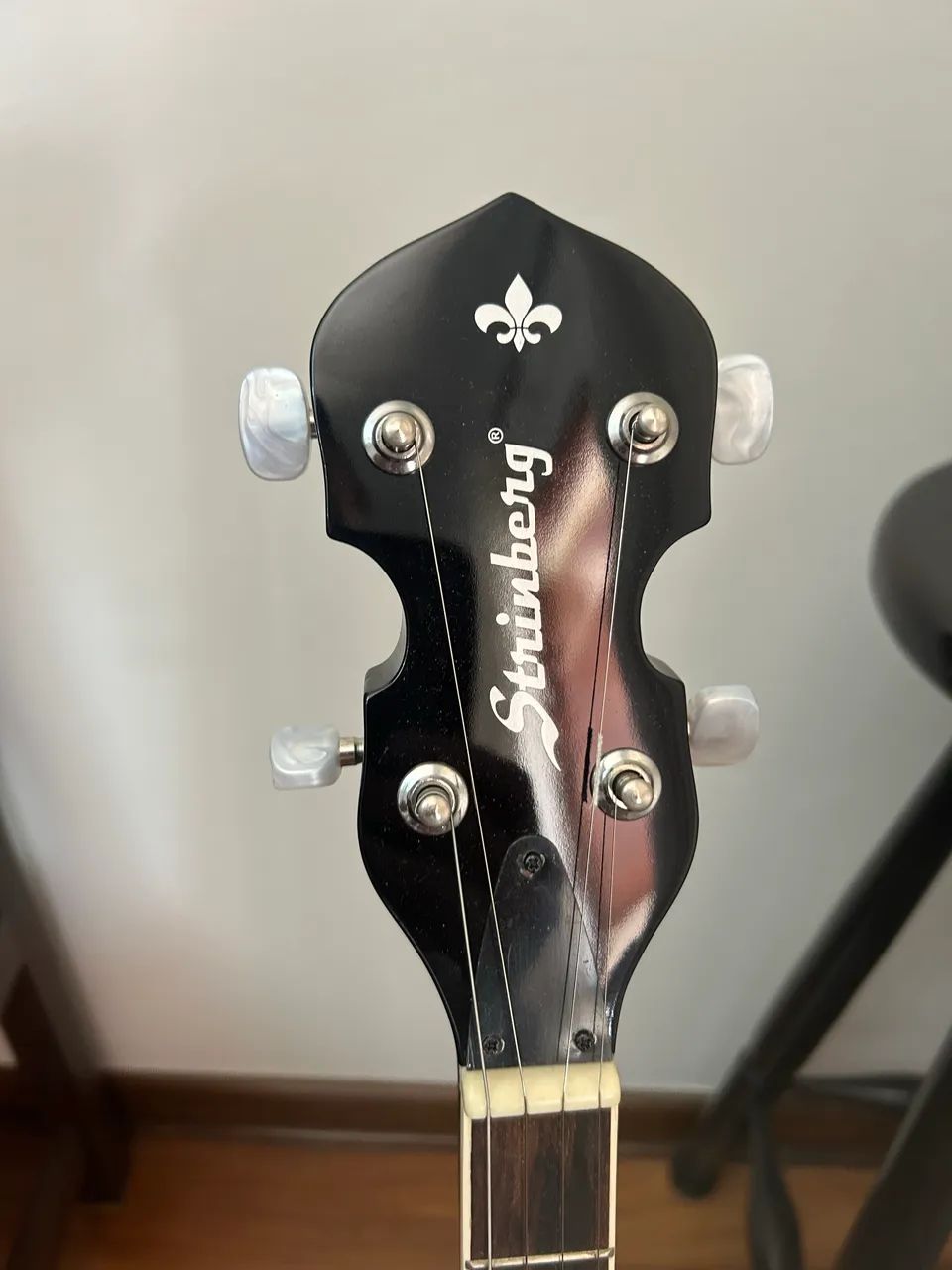 Vendo Banjo 5 cordas Strinberg em estado de novo.