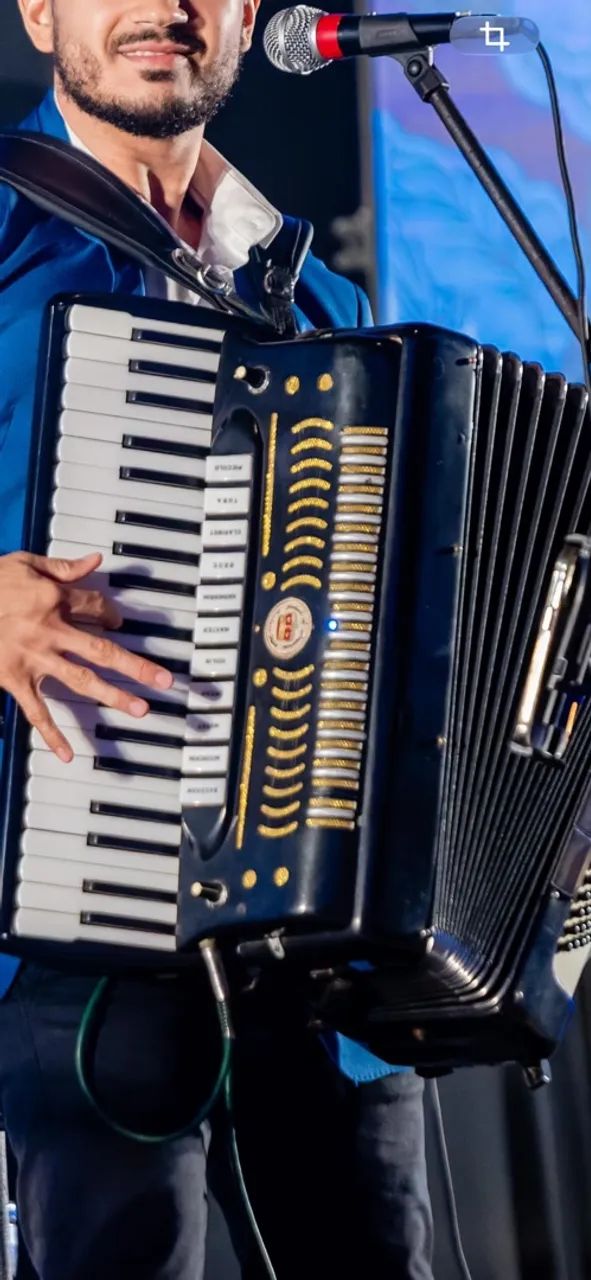Sanfona/Acordeon - Foto 4