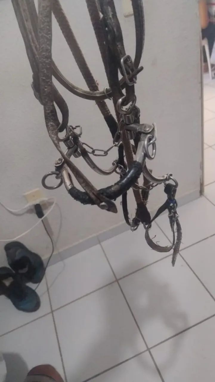 Cabeçada  - Foto 2