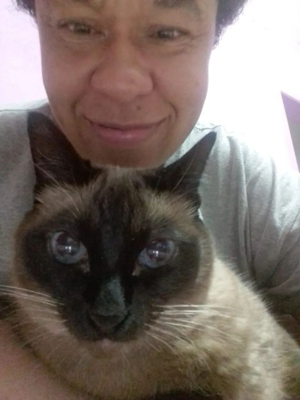 Cuidadora de cães e gatos no ABC