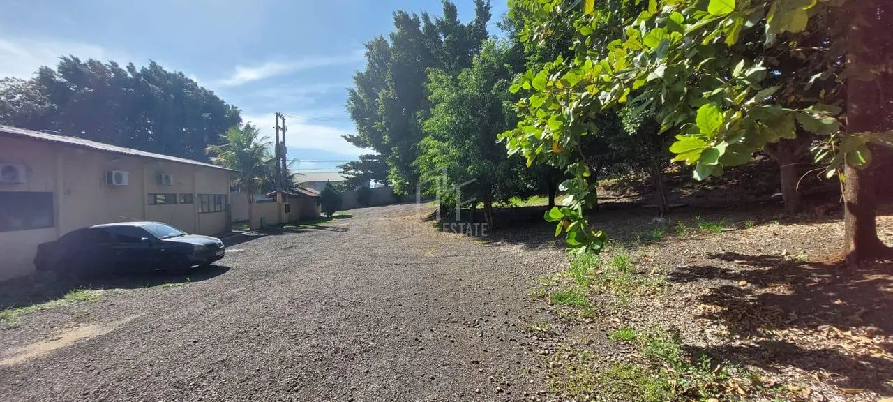 Barracão 3.000 m² de construção com Docas e Pátio na Rodovia 369 - Foto 3