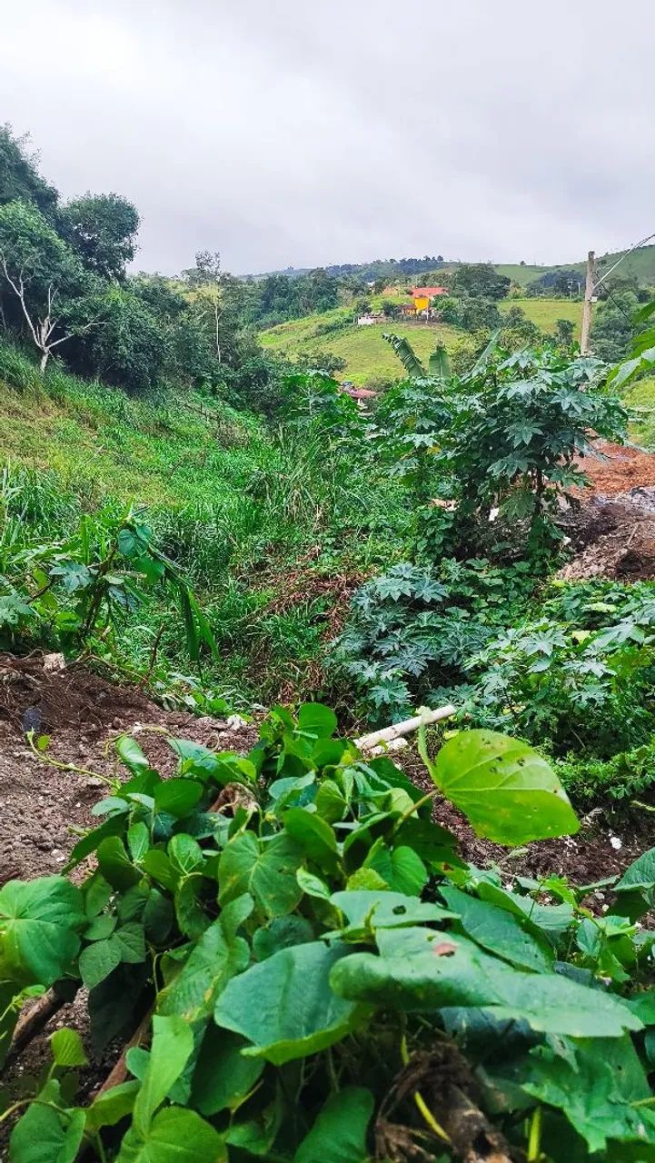 Vendo terreno próximo ao fórum de orobó - Foto 4