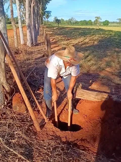 Funcionário Solteiro - Foto 3
