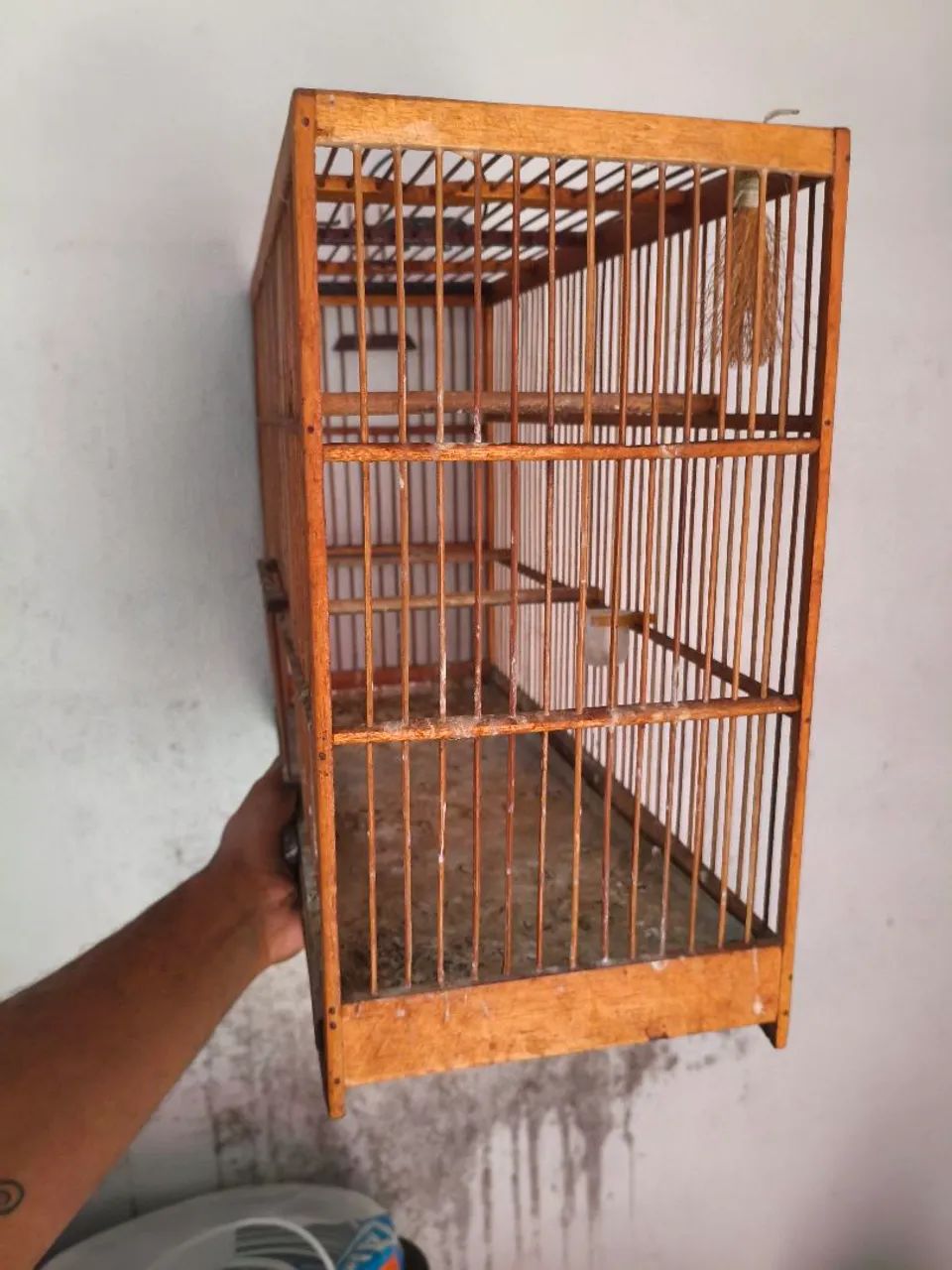 Gaiola - Foto 4