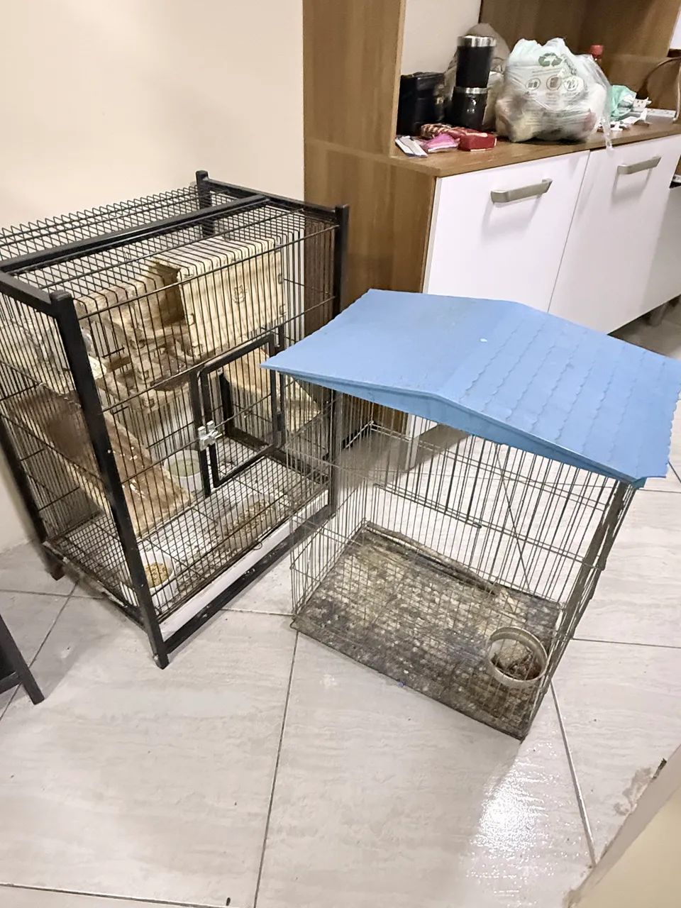Gaiola é só a do telhado azul 