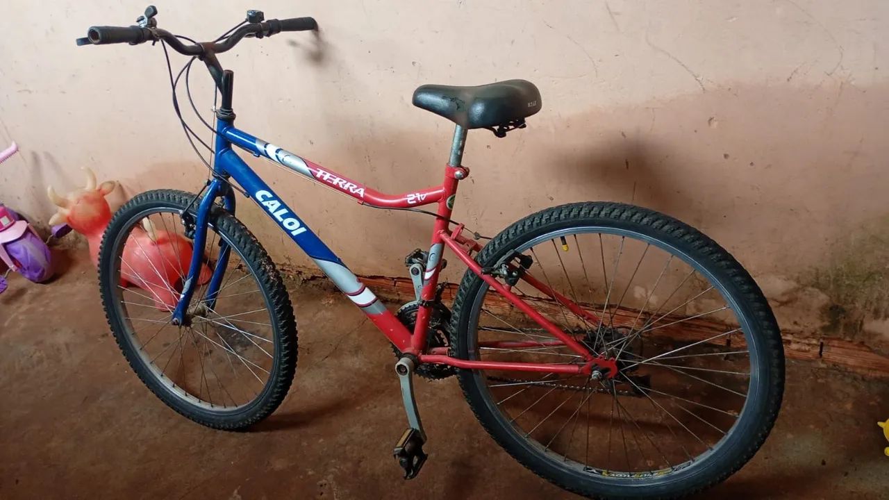 Bicicleta