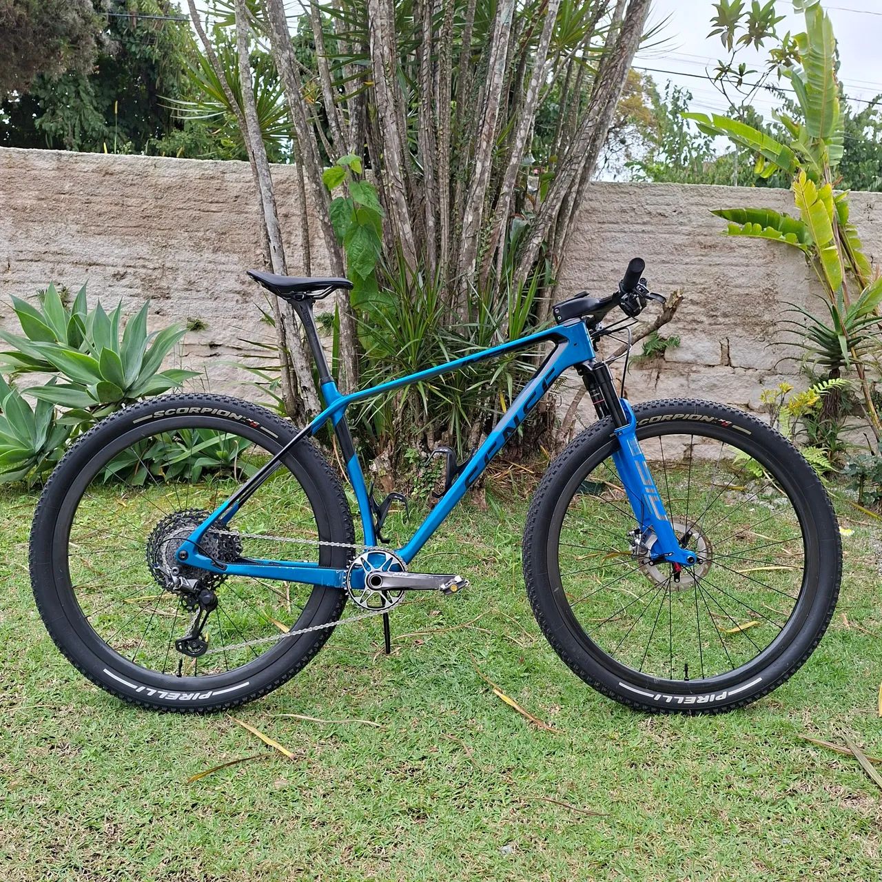 Sense Impact Carbon