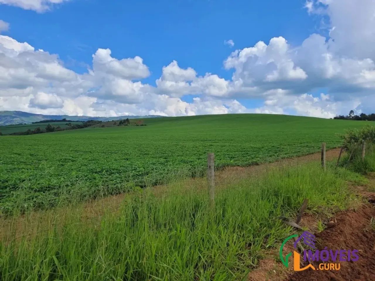 FAZENDA - CENTRO - MG - Foto 3