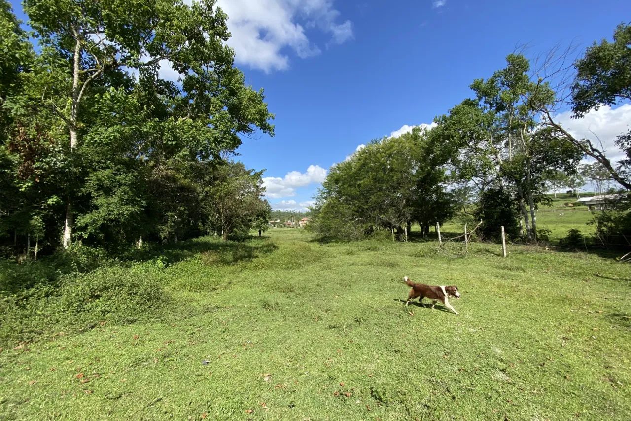 Terreno 24.000m² - Foto 5