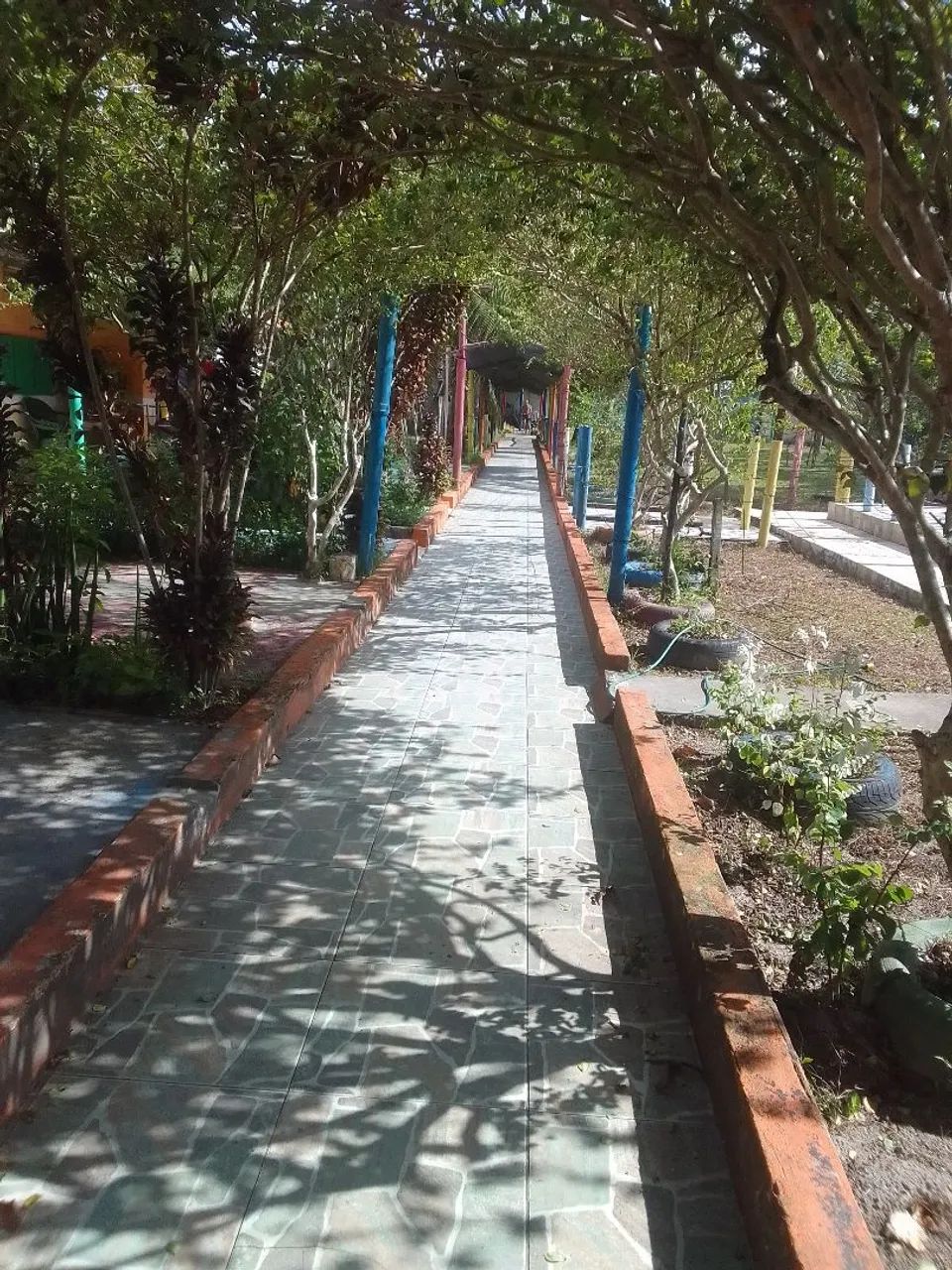 Foto - Dias DÁvila - 