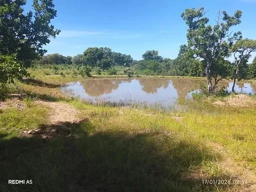 ?? IMÓVEL RURAL À VENDA  EXCELENTE OPORTUNIDADE - Foto 2