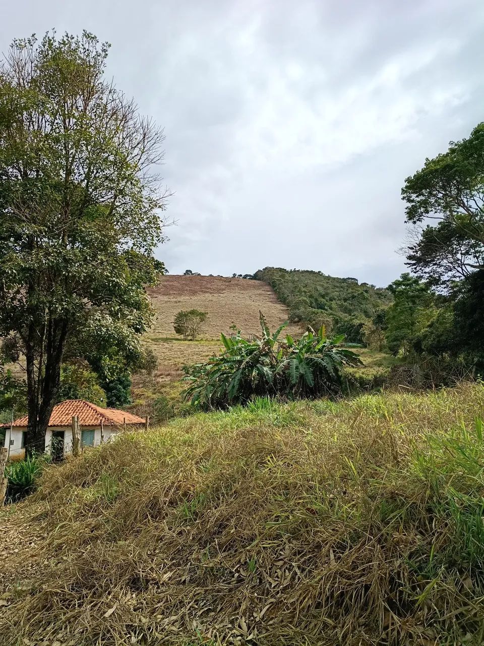 Vendo sitio  - Foto 3