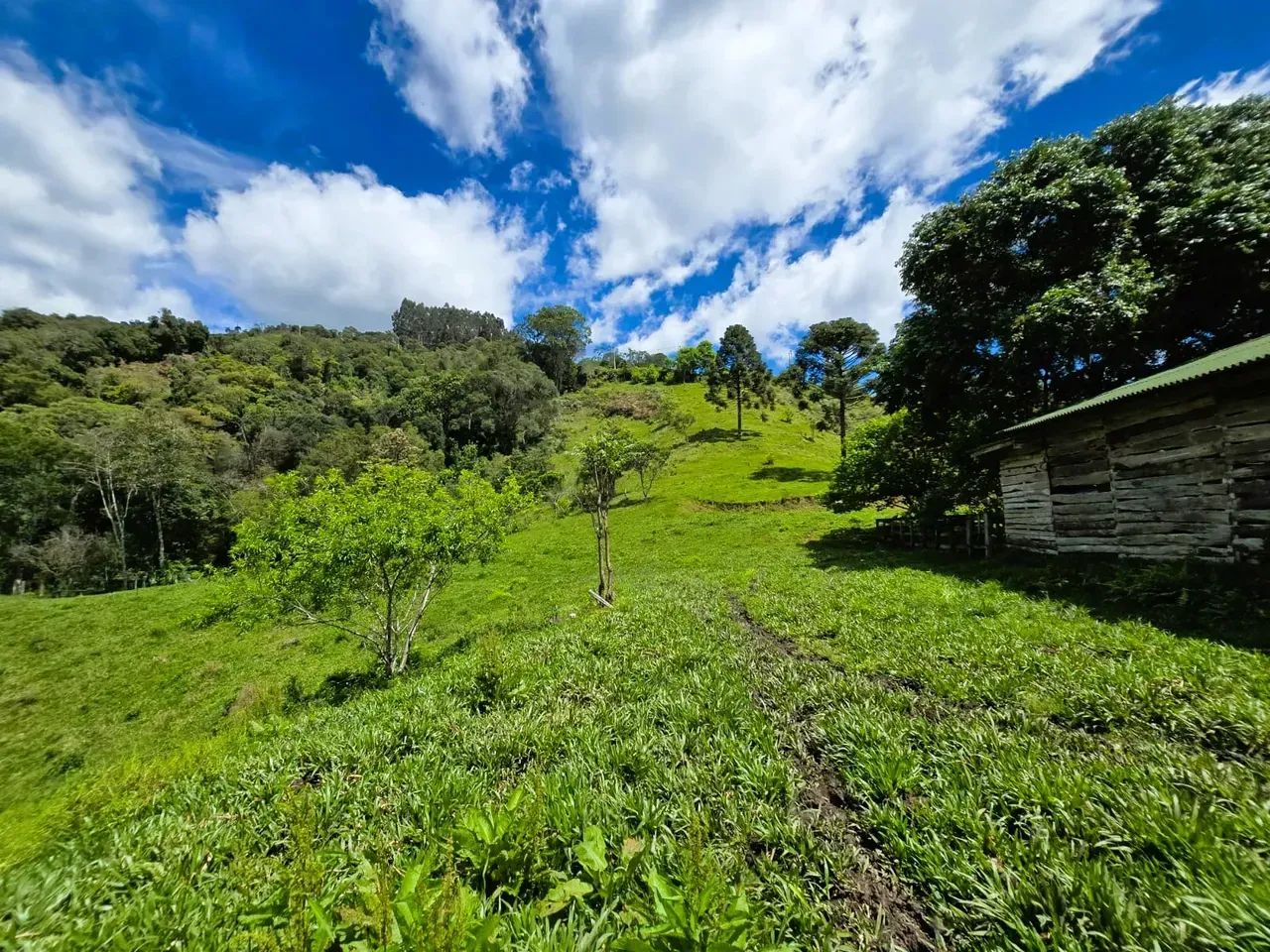 Sitio com 100.000 m²-Alfredo Wagner- Serra Catarinense - Foto 3