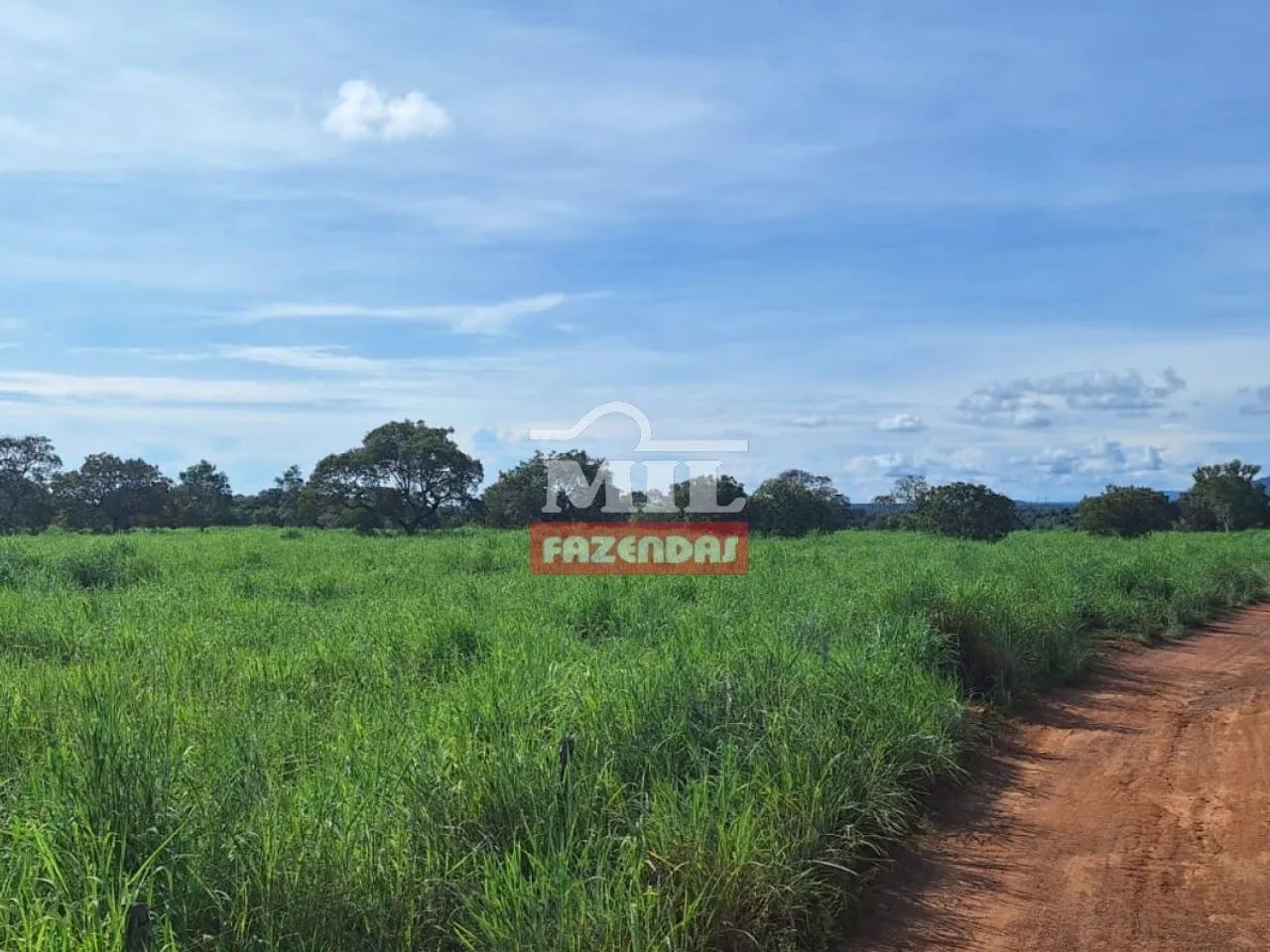 Fazenda 47,3 alqueires ( 228,93 hectares ) Pugmil - Tocantins