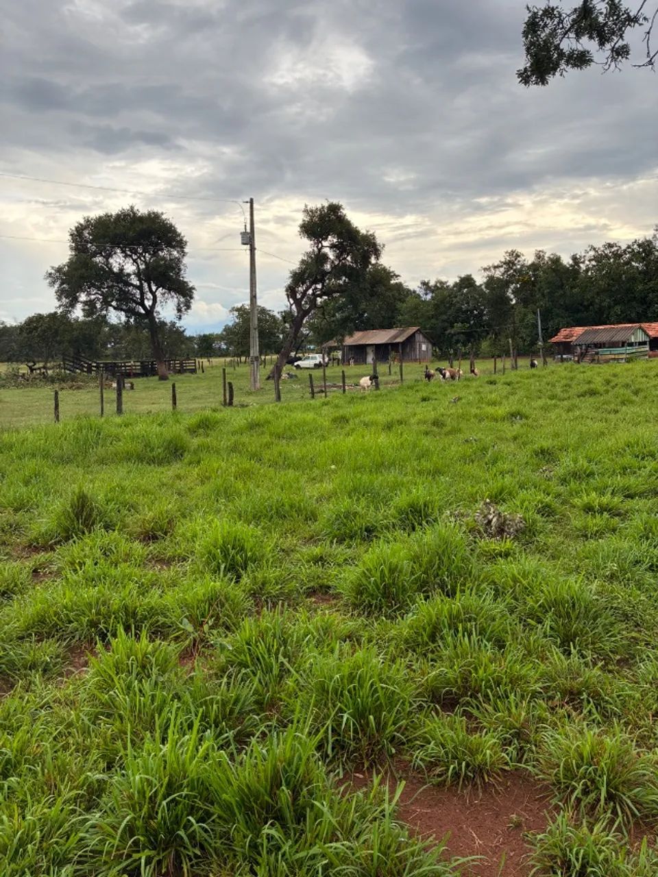 Chácara para Pecuária e Lazer 