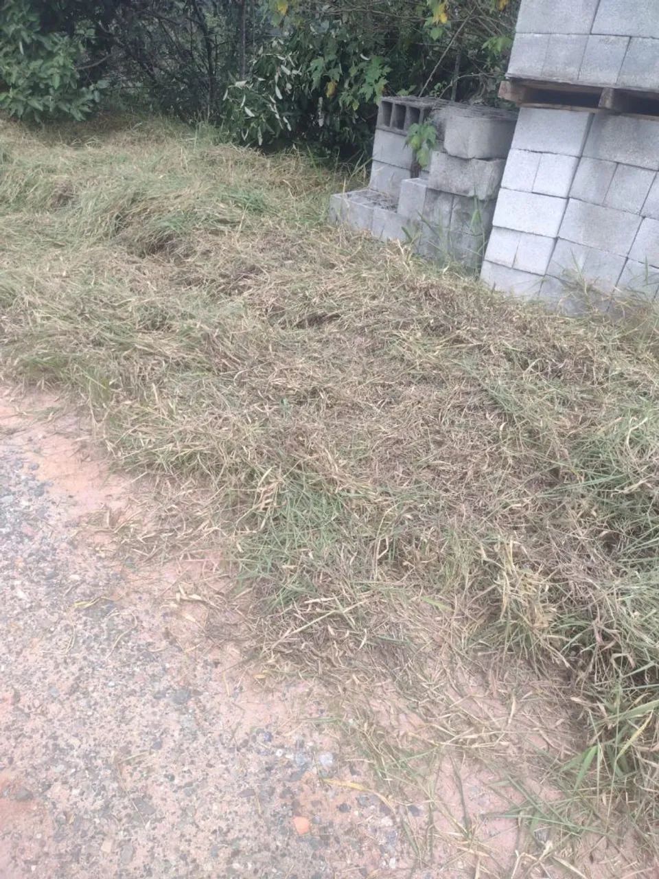 Terreno para chácara em Piedade com escritura  - Foto 2