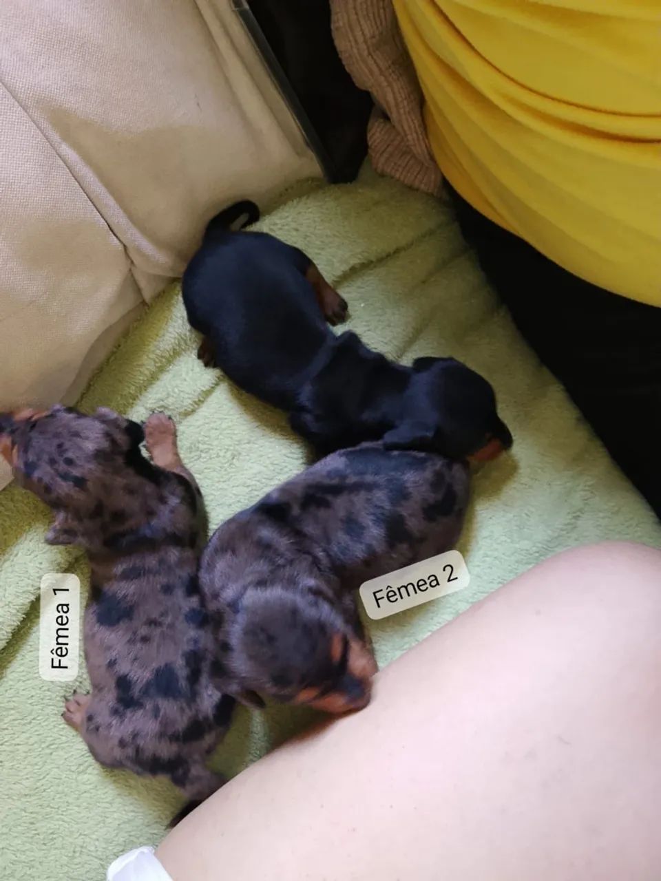 Disponível  - Foto 5