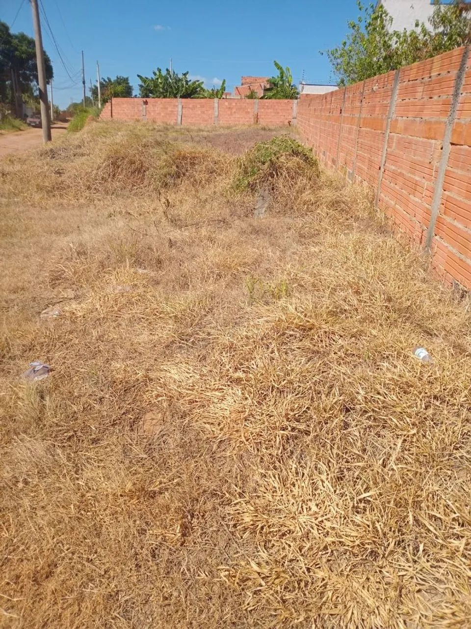 Foto - Boituva - 
