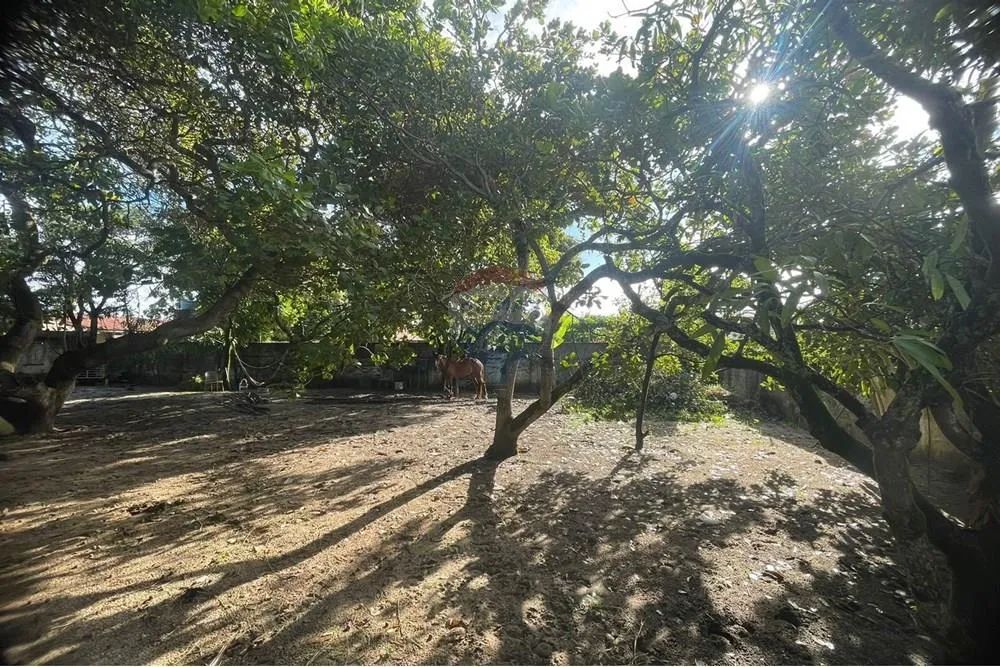 2 Lotes Murados no Condomínio Ponta de Serrambi, Pernambuco - Foto 3