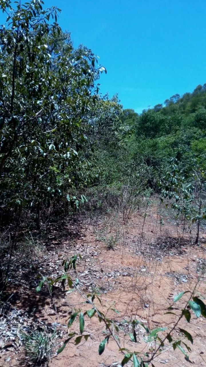 Foto - Montes Claros - Carmelo