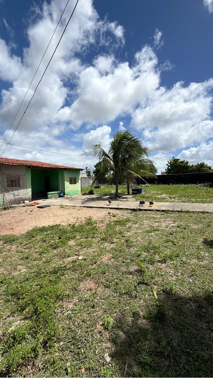 Granja no pium  - Foto 2