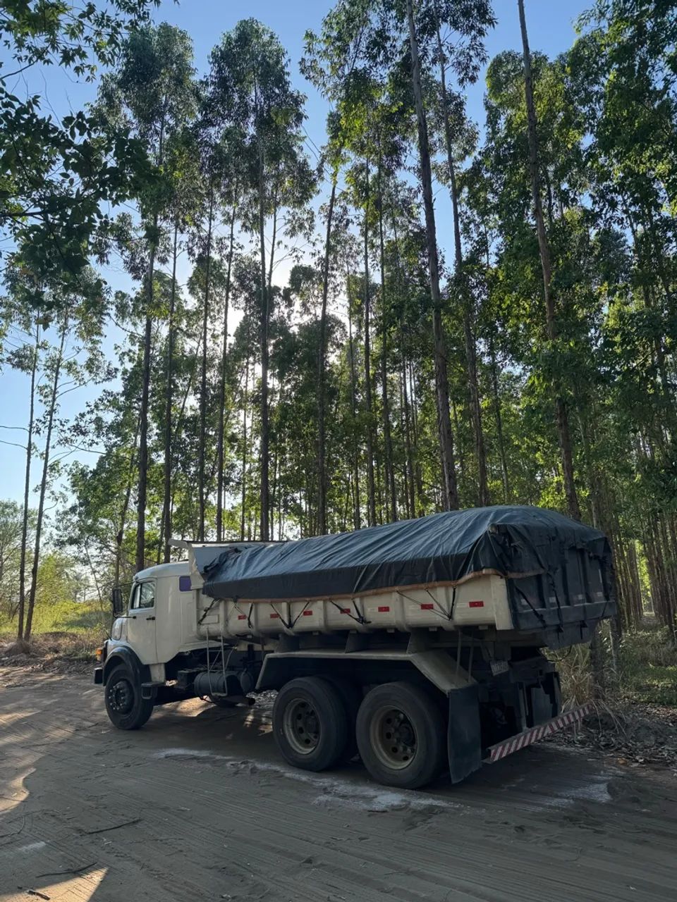 Caminhão caçamba  - Foto 2