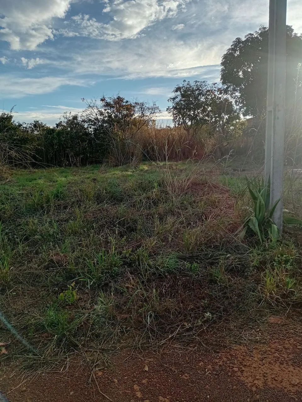 Lote - Foto 2