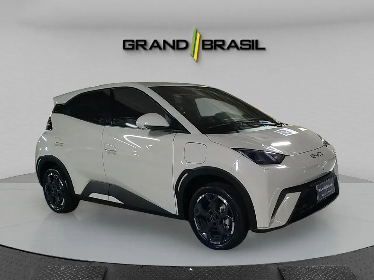 BYD Dolphin Mini (Elétrico) 2026